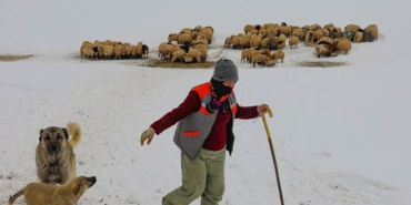 Van'da çiftçinin Kış mücadelesi