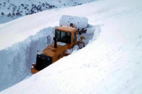 Van'da kar yağışı 82 yerleşim yerinin yolu kapandı