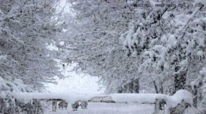 Van'da kar yağışı 83 yerleşim yeri ulaşıma kapandı (2)