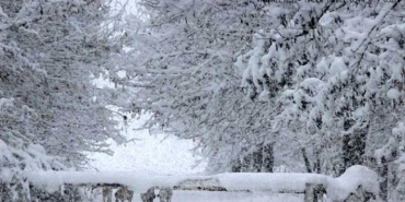 Van'da kar yağışı 83 yerleşim yeri ulaşıma kapandı (2)