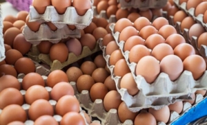 Yumurta fiyatlarında artış