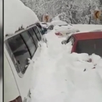 Yoğun kar yağışında araçlarında mahsur kalan 21 kişi donarak öldü