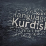 Bu yüzyılın sonuna kadar 1500 dil kaybolabilir; Kürtçe de tehlikede