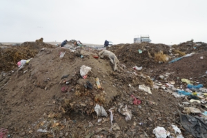 Erciş Belediyesi çöp toplama alanı, çevreyle birlikte tarım alanlarını da kirletiyor