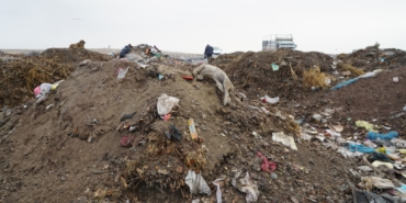 Erciş Belediyesi çöp toplama alanı, çevreyle birlikte tarım alanlarını da kirletiyor