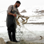 Donan derede Eskimo usulü balık avı