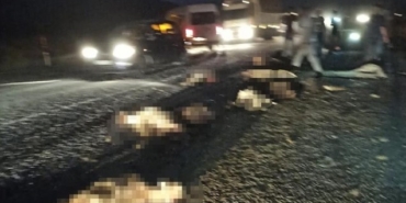 Tatvan’da minibüs kazası: 40 koyun telef oldu - minibus suruye carpti 40 koyun telef
