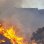 Günar’daki orman yangını kontrol altına alındı