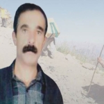 İran Serdeşt sınırında bir kolberi katletti