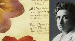 Rosa Luxemburg (1)