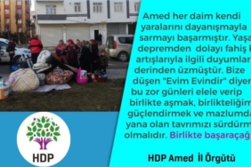 Ji HDP’ê kampanyaya ‘Mala te mala min e’