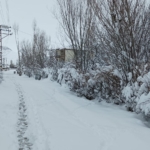 Kars ve Ardahan’da kar yağışı