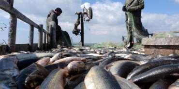 Van Gölü çekilmesi ciddi boyutlara ulaştı: Balıkçılar zor durumda! - van balikcilar