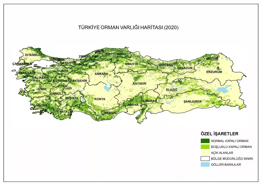 Türkiye’de ‘orman alanı’ lisetesinde Van ve Iğdır sınıfta kaldı - 2020 turkiye orman varligi haritasi