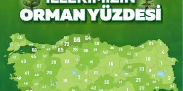 Türkiye’de ‘orman alanı’ lisetesinde Van ve Iğdır sınıfta kaldı - ekran goruntusu 2023 06 12 114352