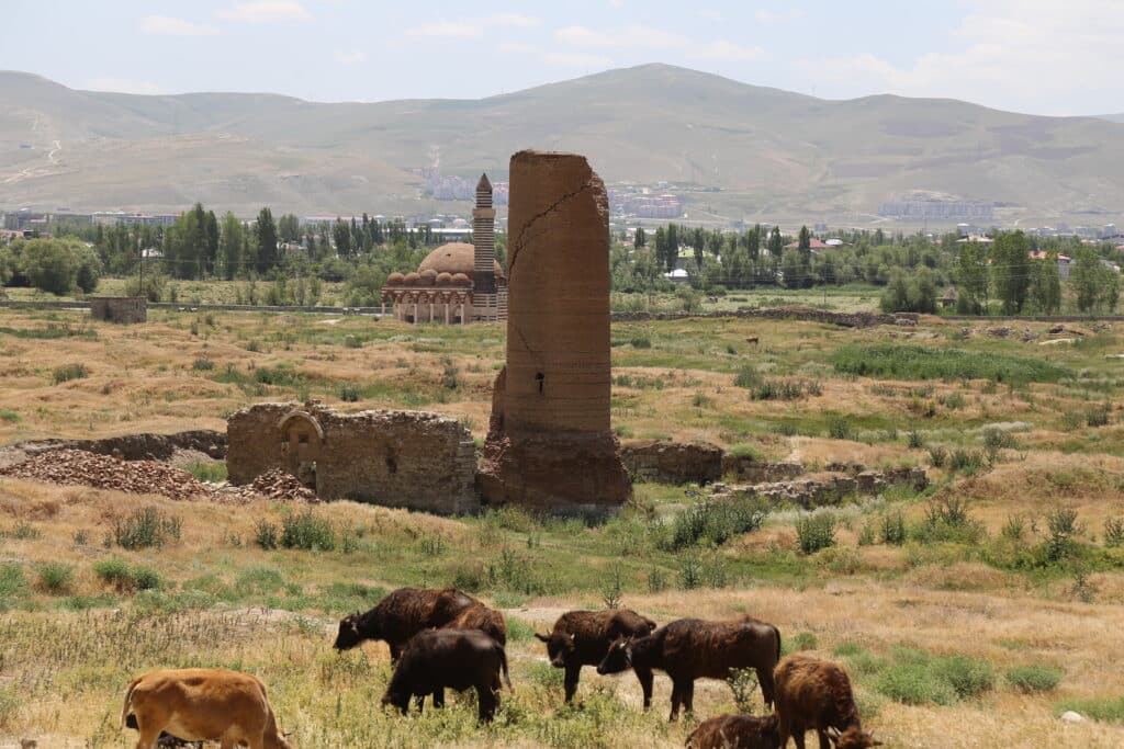 ‘Eski Van Şehri’ definecilerin kıskacında: Acil korumaya alınmalı - tarihi van sehri1