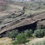 Ağrı’da ‘Nuh Tufanı’nın Ağrı Dağı’ndaki Arkeolojik İzleri’ konuşuldu
