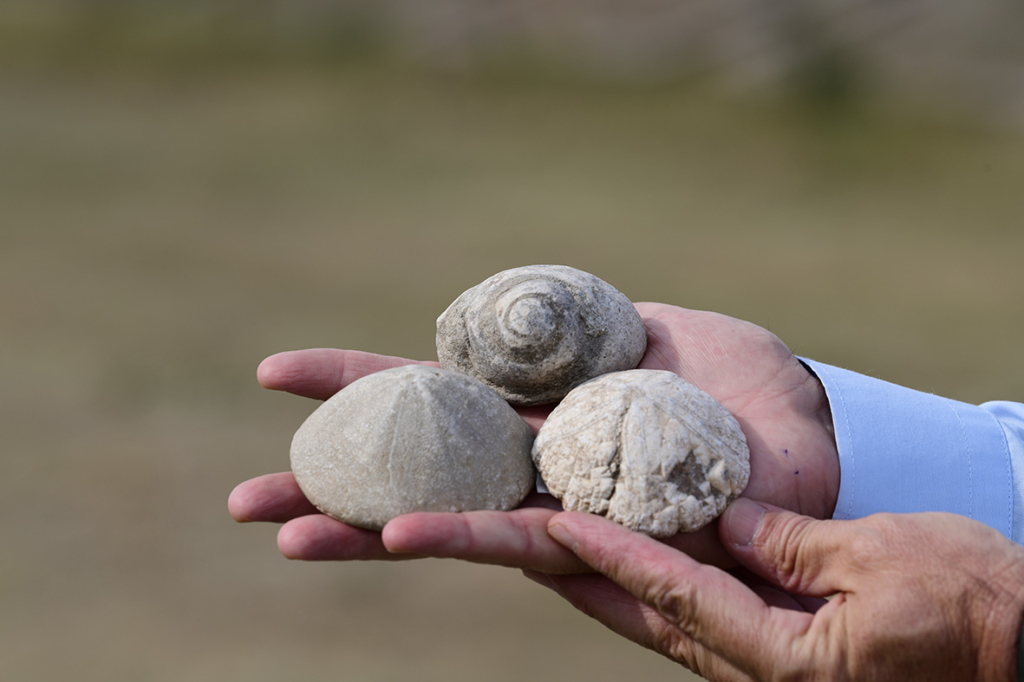 Ağrı'da ‘Nuh Tufanı'nın Ağrı Dağı'ndaki Arkeolojik İzleri’ konuşuldu - AA 20230729 31795839 31795837 AGRIDA NUH TUFANININ AGRI DAGINDAKI ARKEOLOJIK IZLERI KONUSULDU