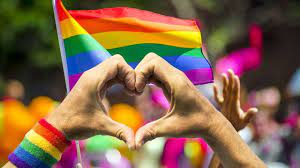 Tüm yok saymalar ve tehditler karşısında rengarenk bir mücadele - LGBTIQ1