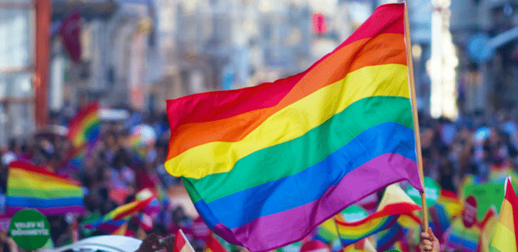 Tüm yok saymalar ve tehditler karşısında rengarenk bir mücadele - LGBTIQ2