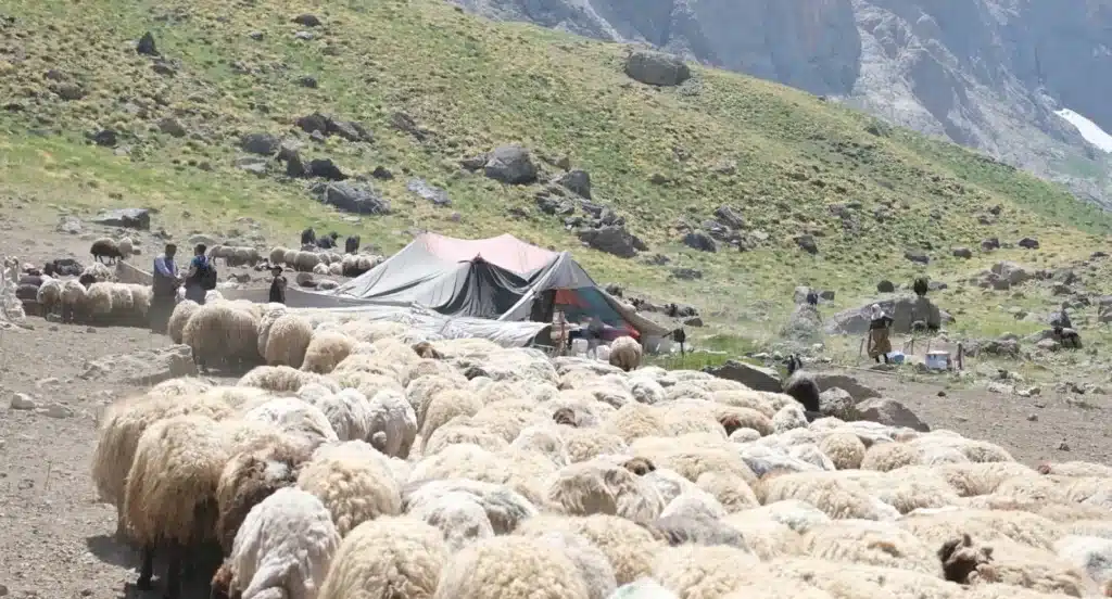 Being a nomad at Cilo Glacier - cilo daglari eteklerinde kocerler 1 1024x552 1