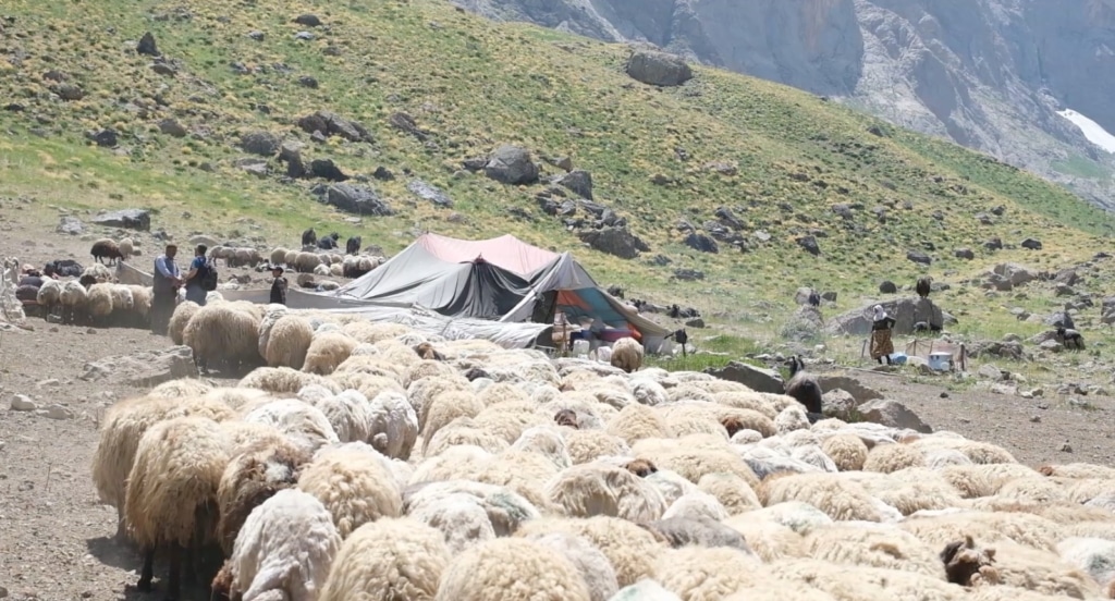 Cilo Buzulları’nda koçer olmak - cilo daglari eteklerinde kocerler 1