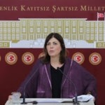 Erzurum Milletvekili Beştaş’tan ‘terörist’ ifadelerine tepki