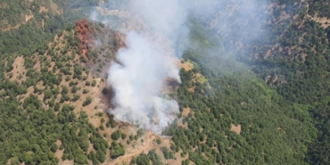 Orman yangınları yayılıyor: Manisa’da orman yangını - orman yangini