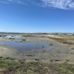 Van Gölü Havzası’nı kuraklık vurdu: Göller ve dereler kuruyor