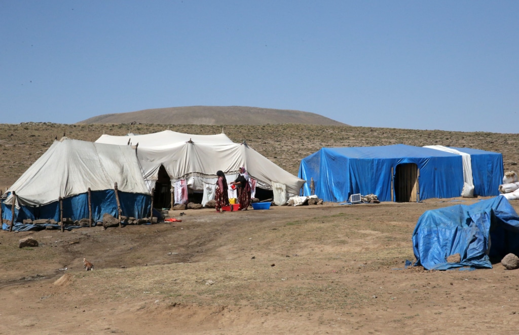 Jiyana koçeriyê li kontarê Çiyayê Nemrûdê - AA 20230830 32027852 32027834 BITLIS YAYLALARININ GOCERLERI