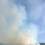 Bingöl’de ormanlık alanda yangın