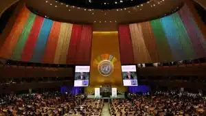 BM genel kurulu renkler