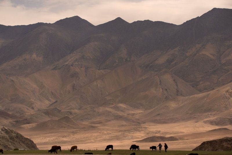 Himalayalar’da iklim değişikliğine karşı buz kubbeleriyle mücadele ediliyor - arati kumar2