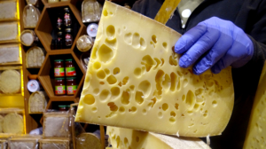 Sarıkamış'ta sezonun ilk gravyer peynirleri satışa sunuldu