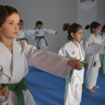 Bitlis’te kız çocuklarına karate eğitimi