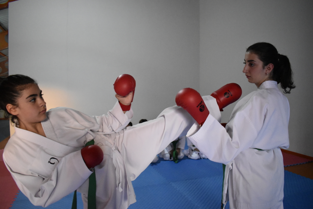Bitlis’te kız çocuklarına karate eğitimi - AA 20231214 33185019 33185016 BITLISTE KARATECI KIZLAR YETISTIRILIYOR