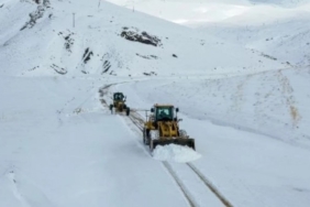 Serhat bölgesinde kar yağışı: Çok sayıda yerleşim yolu kapandı - kar yagisi