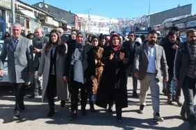 Van Milletvekili Varli'ya seçim bölgesi Erzurum'da kitlesel karşılama - Van Milletvekili Varliya secim bolgesi Erzurumda kitlesel karsilama