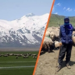 Hakkari’de 5 çoban İran’a sınır dışı edildi: Besicilere 850 bin TL ceza kesildi!